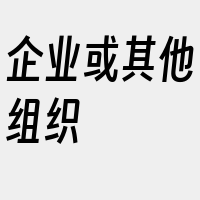 企业或其他组织