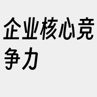 企业核心竞争力