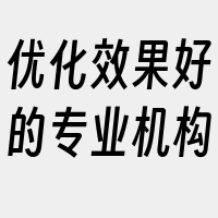 优化效果好的专业机构