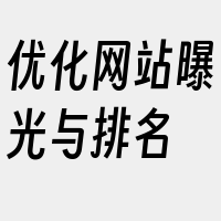 优化网站曝光与排名