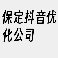 保定抖音优化公司