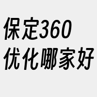 保定360优化哪家好