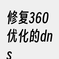 修复360优化的dns