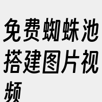 免费蜘蛛池搭建图片视频