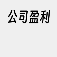 公司盈利