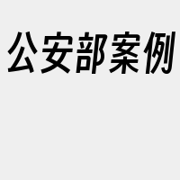 公安部案例