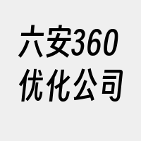 六安360优化公司