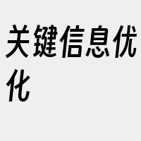 关键信息优化