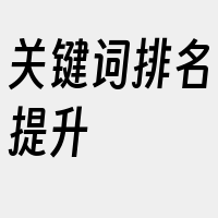 关键词排名提升