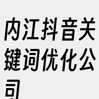 内江抖音关键词优化公司