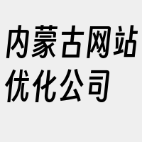 内蒙古网站优化公司