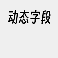 动态字段