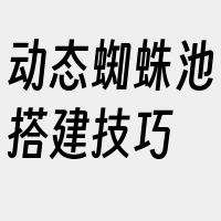 动态蜘蛛池搭建技巧