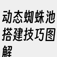 动态蜘蛛池搭建技巧图解