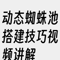 动态蜘蛛池搭建技巧视频讲解