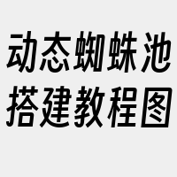 动态蜘蛛池搭建教程图