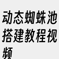 动态蜘蛛池搭建教程视频