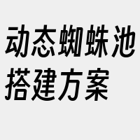 动态蜘蛛池搭建方案