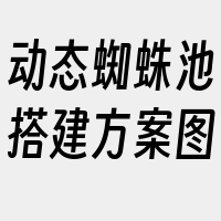 动态蜘蛛池搭建方案图