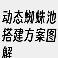 动态蜘蛛池搭建方案图解