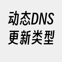 动态DNS更新类型