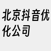 北京抖音优化公司