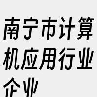 南宁市计算机应用行业企业