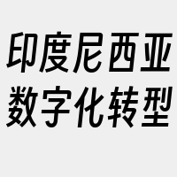 印度尼西亚数字化转型