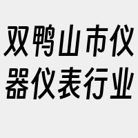 双鸭山市仪器仪表行业