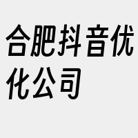 合肥抖音优化公司