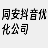 同安抖音优化公司