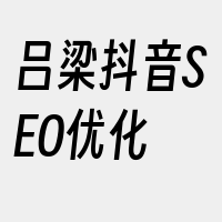 吕梁抖音SEO优化