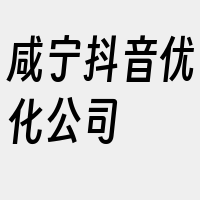 咸宁抖音优化公司