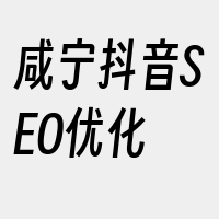 咸宁抖音SEO优化