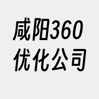 咸阳360优化公司