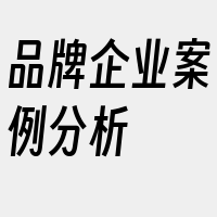 品牌企业案例分析