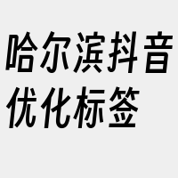 哈尔滨抖音优化标签