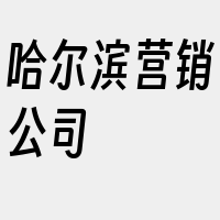 哈尔滨营销公司