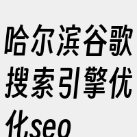 哈尔滨谷歌搜索引擎优化seo