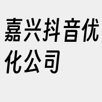 嘉兴抖音优化公司