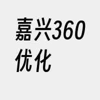 嘉兴360优化