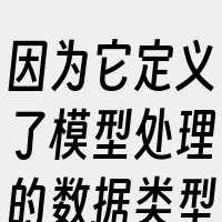 因为它定义了模型处理的数据类型。