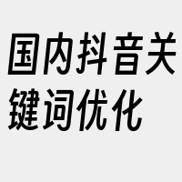 国内抖音关键词优化