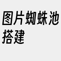 图片蜘蛛池搭建