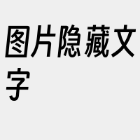 图片隐藏文字