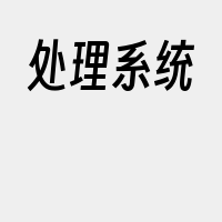 处理系统