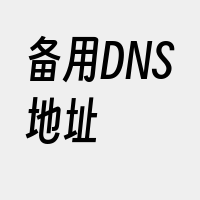 备用DNS地址