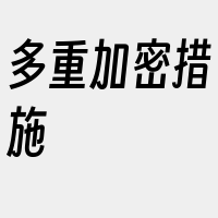 多重加密措施