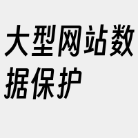 大型网站数据保护