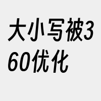 大小写被360优化